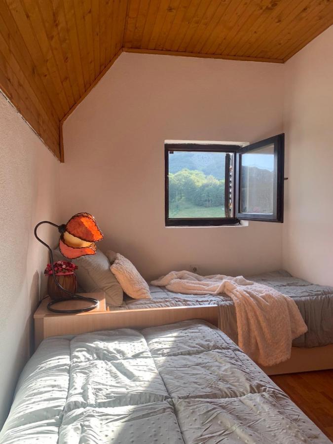 Blackberry House Zabljak Exterior photo