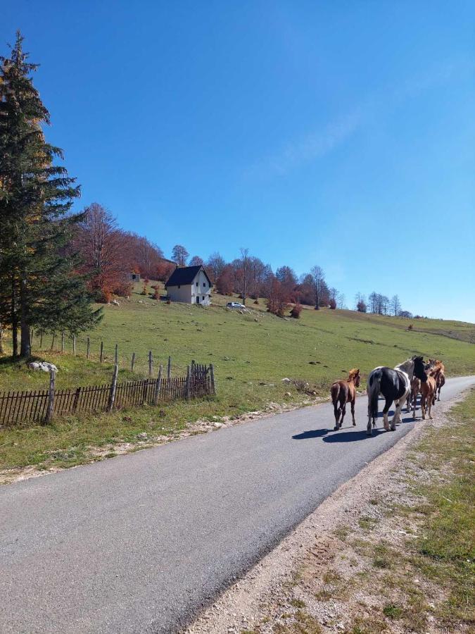 Blackberry House Zabljak Exterior photo